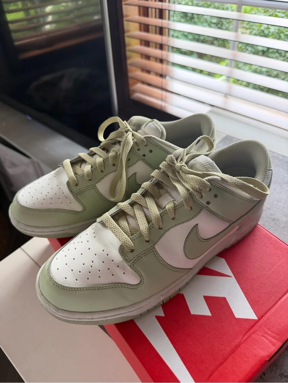 Nike Women's Low-Top Sneakers in Light Green and White